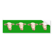 Sheep Bumper Sticker