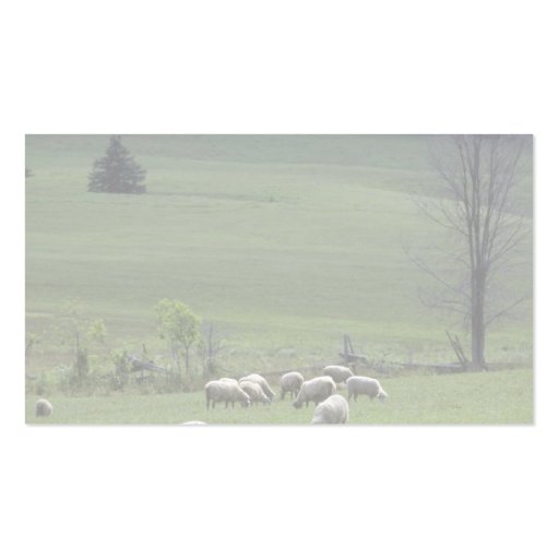 Sheep Business Card Templates (back side)