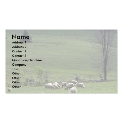 Sheep Business Card Templates (front side)