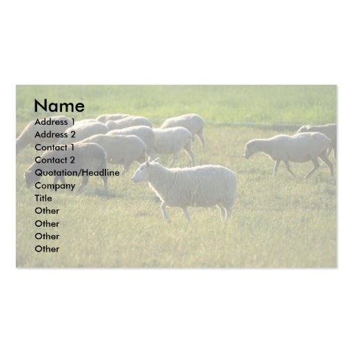 Sheep Business Cards