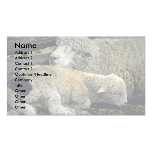 Sheep Business Cards (front side)
