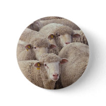Sheep Buttons