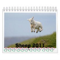 Sheep Calendar