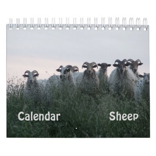 Sheep Calendar Zazzle