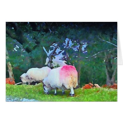 Sheep  Card by jewelsxjules