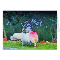 Sheep cards by jewelsxjules Sheep cards