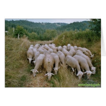 sheep cards by amrisregoh sheep cards