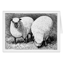 Sheep Card by jfuqua Sheep Card