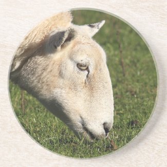 Sheep Coaster coaster