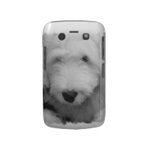 Sheep Dog  Blackberry Bold Case
