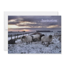 Sheep - Dutch Winter Custom Invites