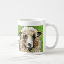 sheep face before coffee mugs