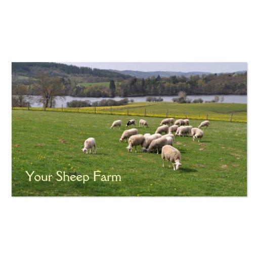 Sheep farm business card (front side)
