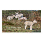 Sheep farm business card business cards