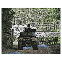 SHEEP FARM FLYERS