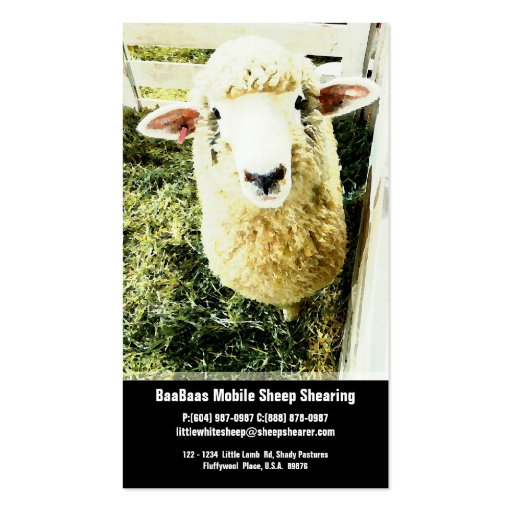 Sheep Farm or Shear Service Business Card Templates (front side)