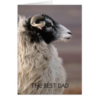 Sheep Fathers Day Card
