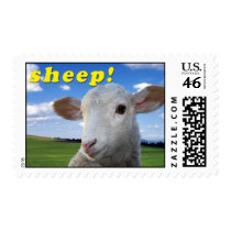 Sheep! first class stamp