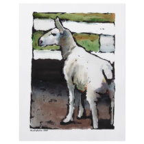 sheep flyers
