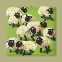 Sheep Food magnets