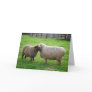 Sheep friends card