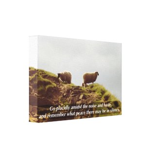 Sheep Graze On Mountain Placidly Desiderata Canvas wrappedcanvas