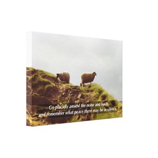 Sheep Graze On Mountain Placidly Desiderata Canvas wrappedcanvas