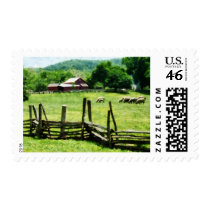 Sheep Grazing in Pasture Stamp