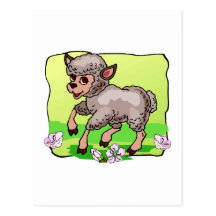 Sheep In Flowers Postcard