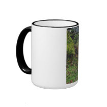 Sheep in hideing on dartor. coffee mug