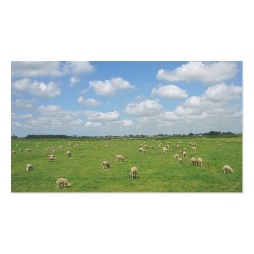 Sheep in Pasture Small Photo Card Business Card