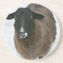Sheep in snow beverage coasters