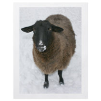 Sheep in snow personalized flyer