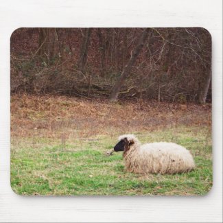 Sheep in the Meadow - Farm Nature Photography Mouse Pad