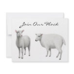 Sheep Invitation
