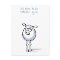 Sheep: It's time to be shorn again! postcards by graphicdoodles Sheep: It's time to be shorn again! postcards