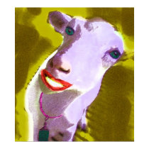 SHEEP LADY posters