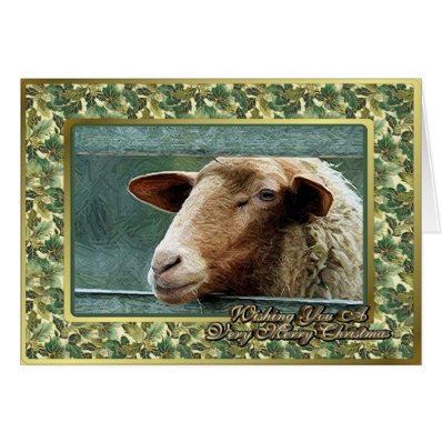 Sheep Lamb Blank Christmas Card