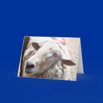 Sheep Lamb of God Christian greeting card