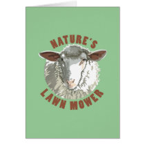 Sheep Lawn Mower cards by techatfirstsite_II Sheep Lawn Mower cards