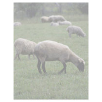 Sheep Letterhead