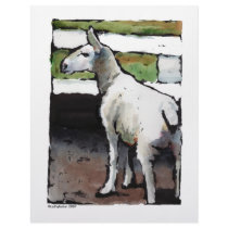 sheep letterhead