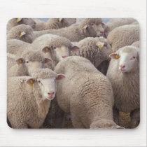 Sheep Mousepad