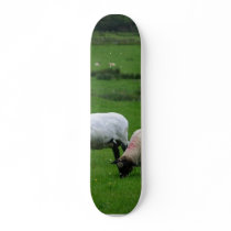 Sheep Near Deerpark Ireland Skate Boards