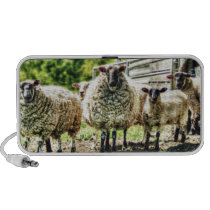 Sheep on the Farm portable Doodle speaker speakers