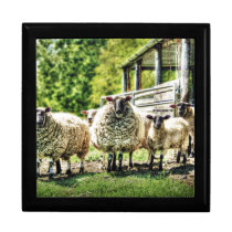 Sheep on the farm wooden keepsake jewelry gift box gift boxes