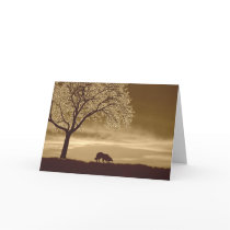 Sheep on the horizon~Border Collie Christmas Greeting Cards