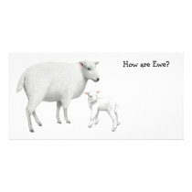 Sheep Photo Card photo cards by twopurringcats Sheep Photo Card photo cards