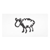Sheep photo cards