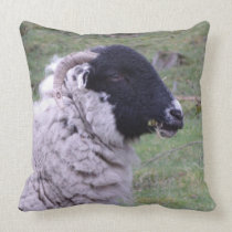 sheep pillow